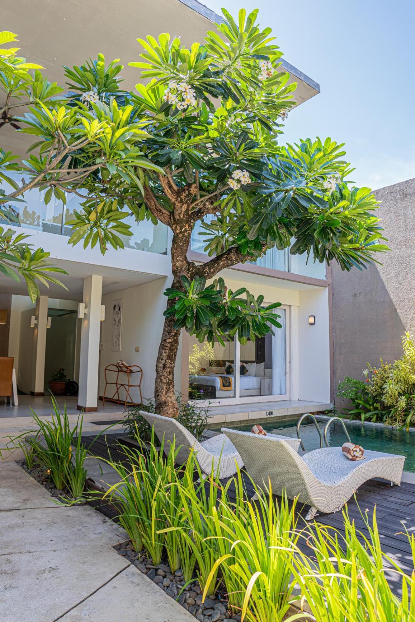 סמיניאק Asa Bali Luxury Villas & Spa מראה חיצוני תמונה